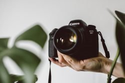 how much shutter count is too much