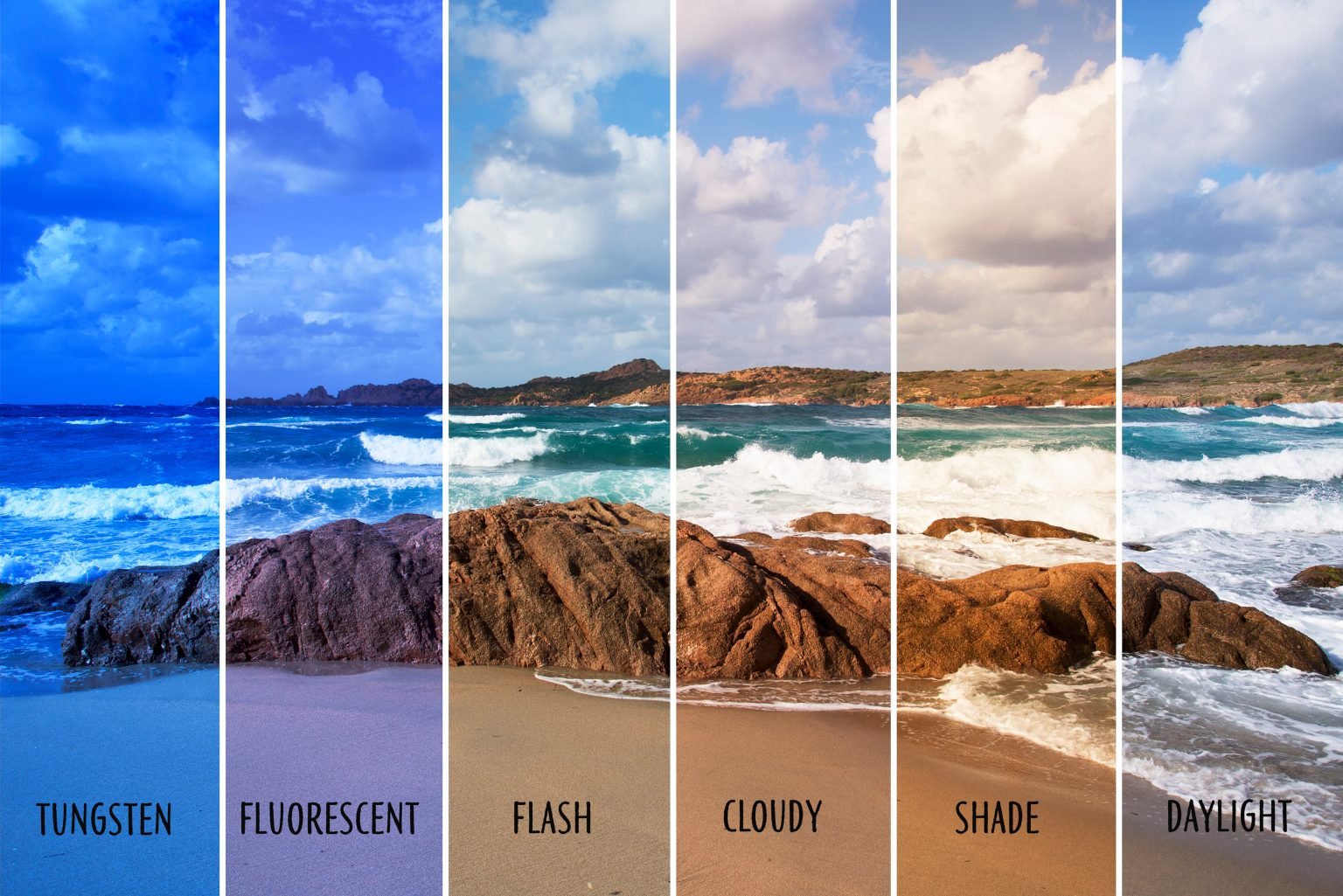 The Importance of White Balance What It Does and Why it Matters