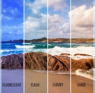 what does white balance do