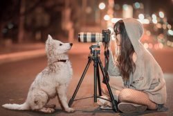 10 best camera for pet photography