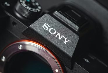Best Macro Lenses for Sony E Mount