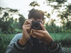 Best Point and Shoot Camera for Wildlife Photography