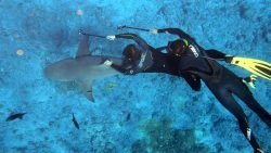 best underwater camera for snorkeling