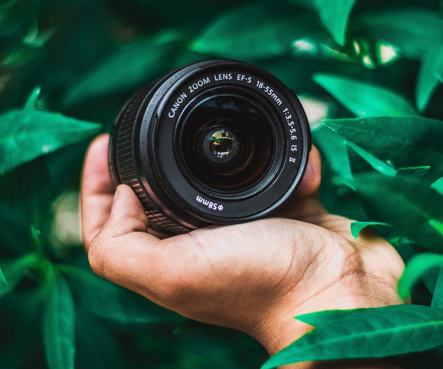 What is a Kit Lens? ShutterRelease