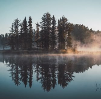 landscape reflection