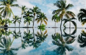 Capturing the Beauty of Landscape Reflections - ShutterRelease